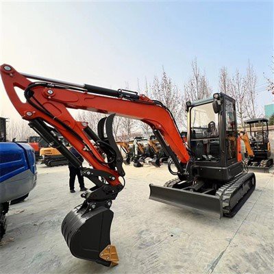 Mini Excavateur 2.5 En